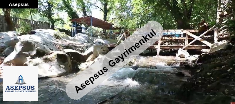 Asepsus Emlak'tan 3+1 aşağıçavuş köyü 'sinde satılık arsa