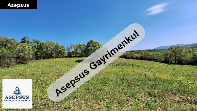 Asepsus Emlak'tan 3+1 çırpılar köyü 'sinde satılık arsa
