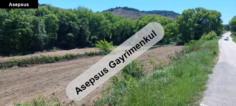 şahi̇nburgaz da yola sifir yanindan dere geçen 7.821m2 tarla.