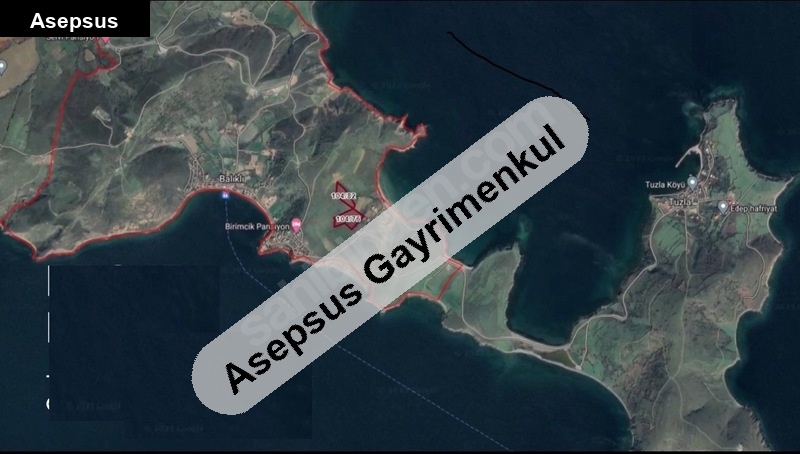 paşali̇mani adasi balikli mahallesi̇nde koop. hi̇ssesi̇