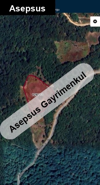 beyoluk'ta orman evi yapımına uygun geniş fırsat arazi