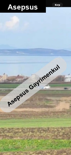 deni̇ze çok yakin on numara yer