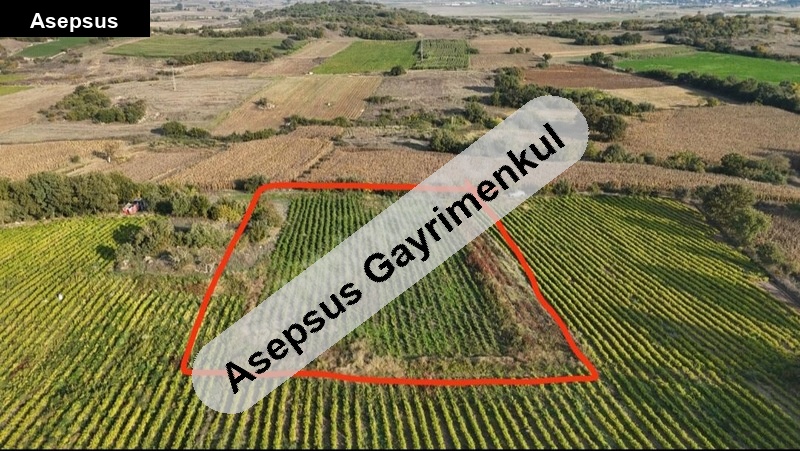 sahibinden balıkesirde satılık tarla