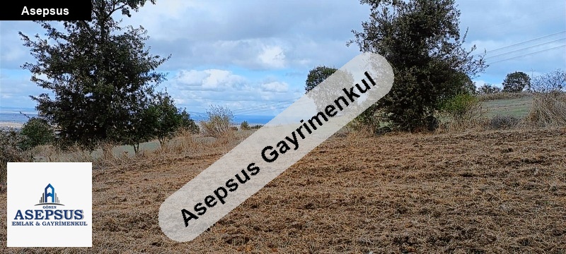 Asepsus Emlak'tan 3+1 i̇lyasalan köyü 'sinde satılık arsa