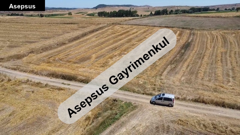 yer sahi̇bi̇nden 4625 m2 köşe parsel kadastro yolu olan şamli'da