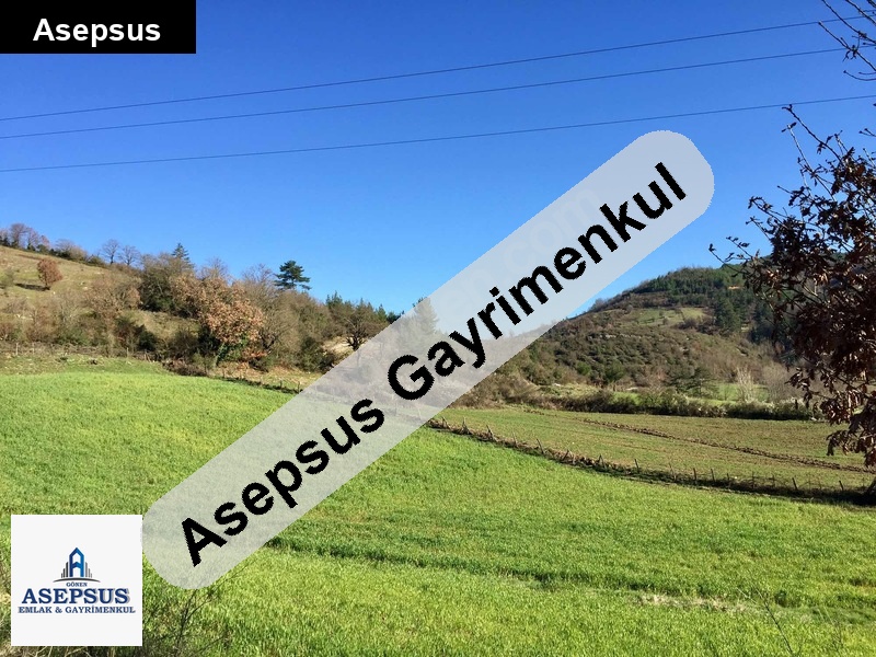 Asepsus Emlak'tan 3+1 karaköy köyü 'sinde satılık arsa