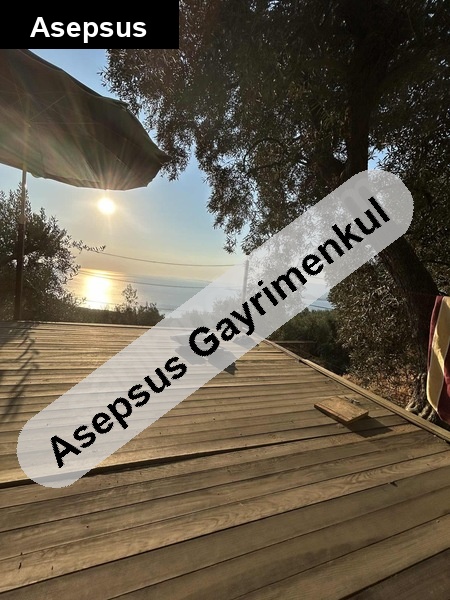 satılık zeytinlik (içinde bağ evi var)