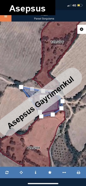 balıkesir balya çarmık köyünde 1700 m2 sahibinden