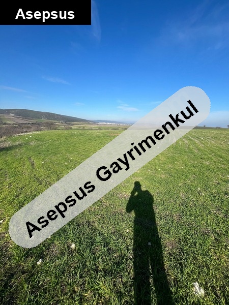 balikesi̇r manyas cumhuri̇yet de yatirim firsati tarla