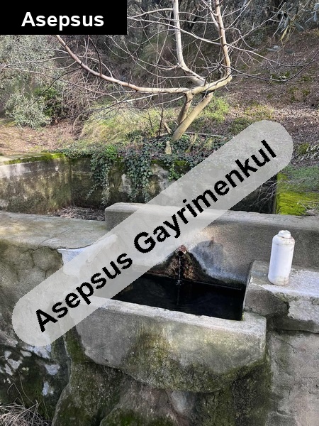 suyu ve yolu havuzu olan