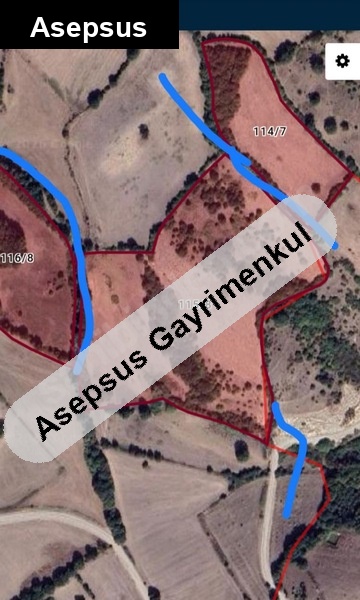 tek tapulu 41 dönüm