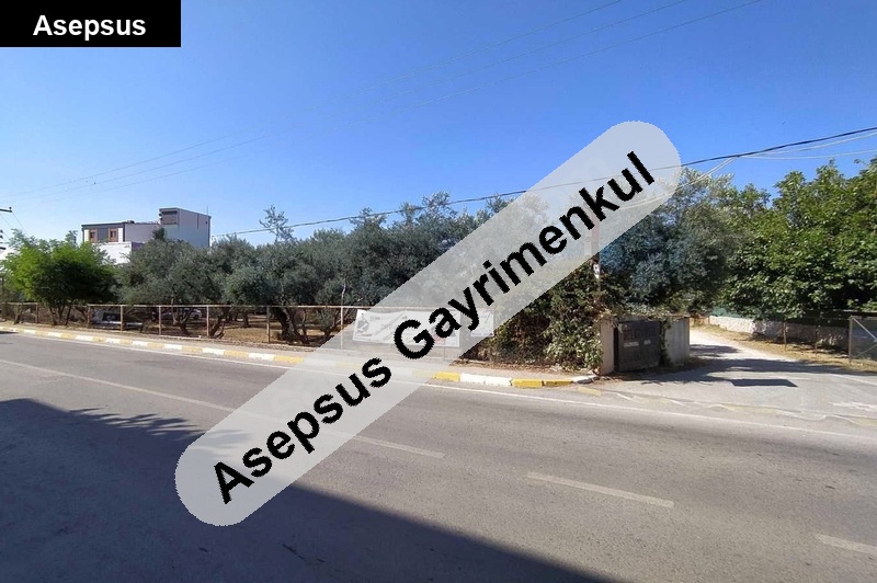 sahi̇bi̇nden satilik turi̇zm i̇marli zeyti̇nli̇k