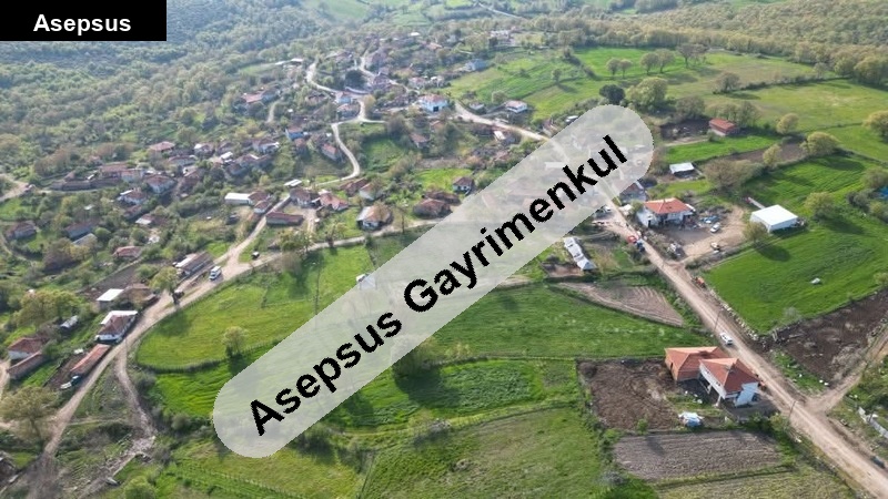 yörük köyü alaşar da eski̇ bağlik