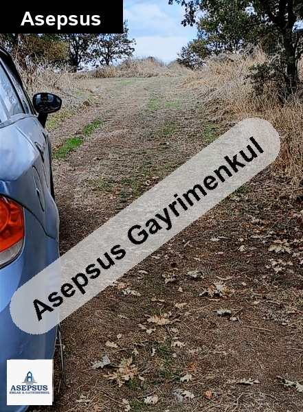 Asepsus Emlak'tan 3+1 i̇lyasalan köyü 'sinde satılık arsa