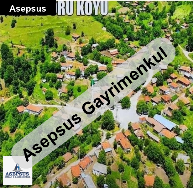 Asepsus Emlak'tan 3+1 karadoru köyü 'sinde satılık arsa