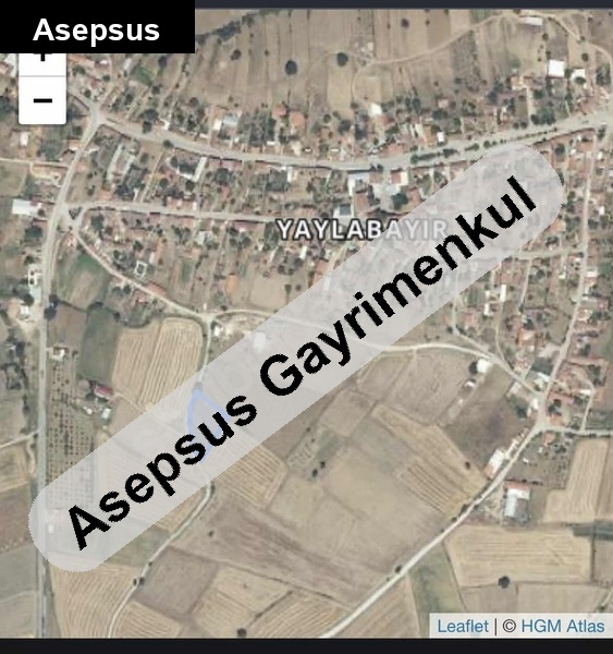 konteyner koy hayatini yaşa