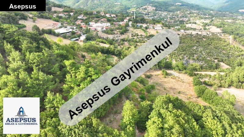 Asepsus Emlak'tan 3+1 karasu köyü 'sinde satılık arsa
