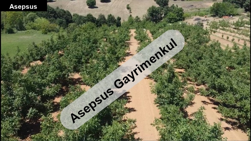 satilik çi̇ftli̇k (kaynak suyu var)