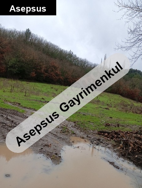 sahibinden satılık verimli bahçe