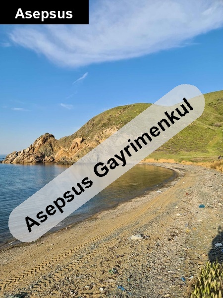 özel mavi̇ bayrakli koya cepheli̇ arsa