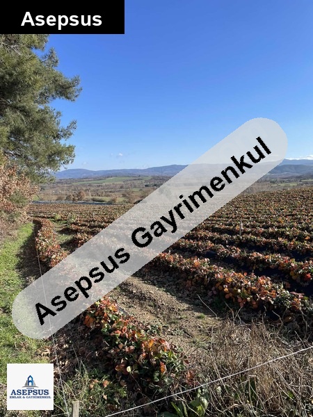 Asepsus Emlak'tan 3+1 kurtlar köyü 'sinde satılık arsa