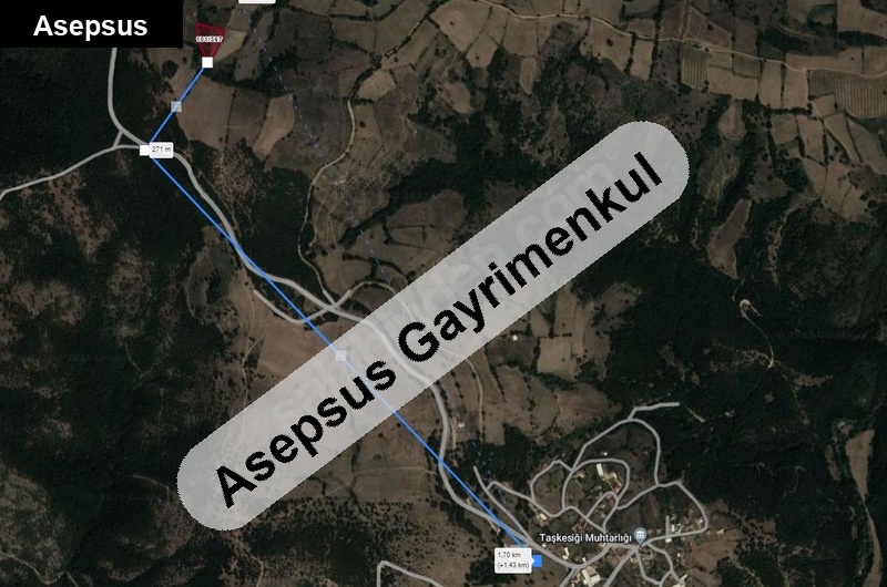 balikesi̇rde sahi̇bi̇nden yatirimlik tarla