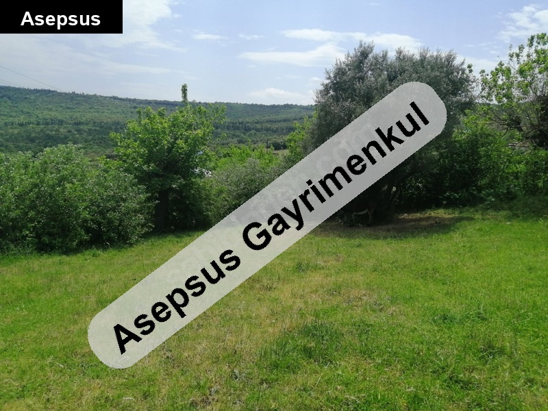 yola ve köye yakın 9.000 m2 müstakil yatırımlık arsa