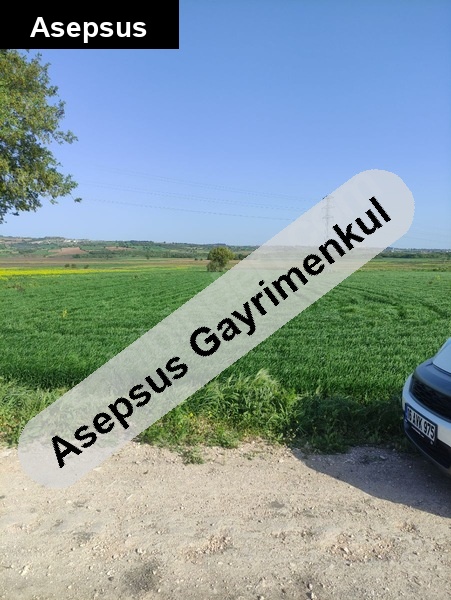 sahibinden satılık kara toprak verimli arazi