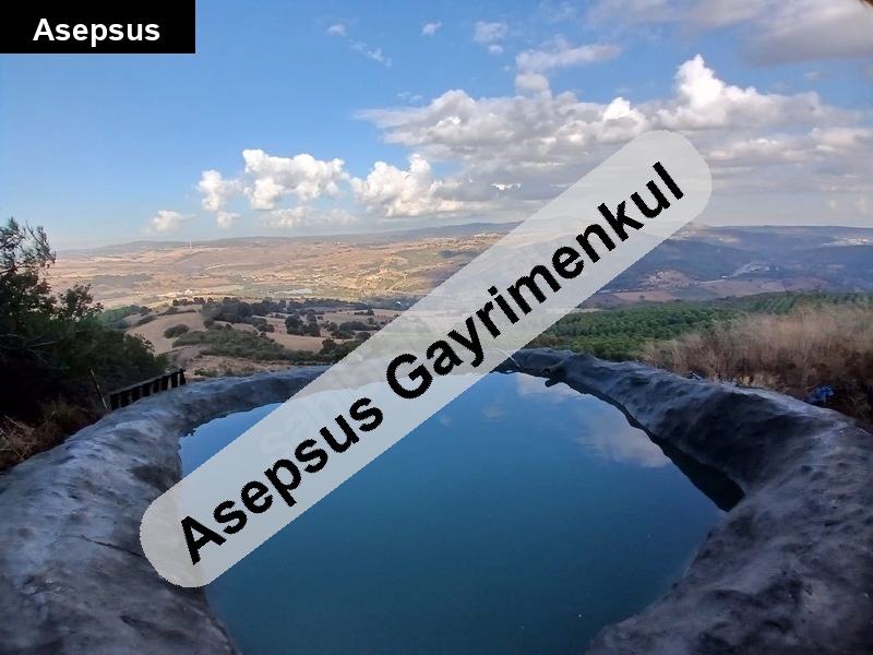 susurluk balıkesir yolu ceviz tarlası