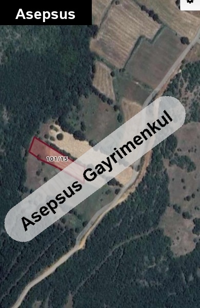 sahibinden satılık