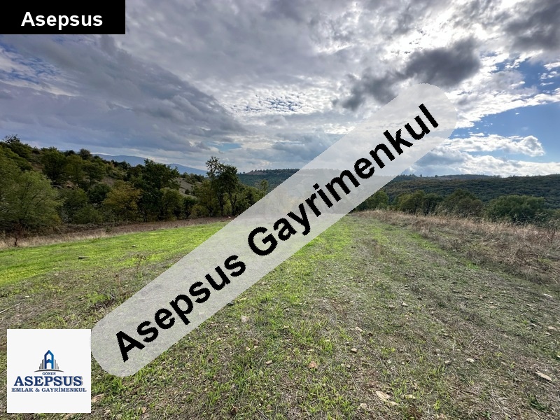 Asepsus Emlak'tan 3+1 karadoru köyü 'sinde satılık arsa