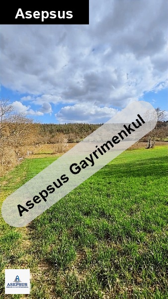 Asepsus Emlak'tan 3+1 çınarcık köyü 'sinde satılık arsa