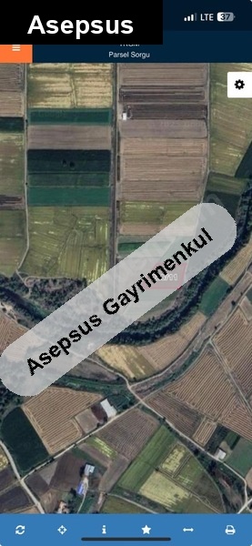 manyas'ta dere kenarında sulak tarla