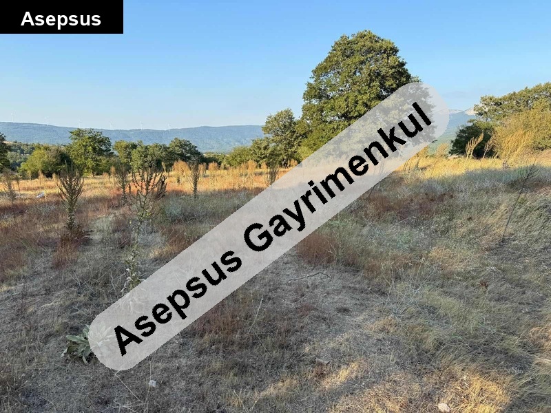 köy merkezi̇ne yakin kadastro yolu mevcut yatirimlik tarla