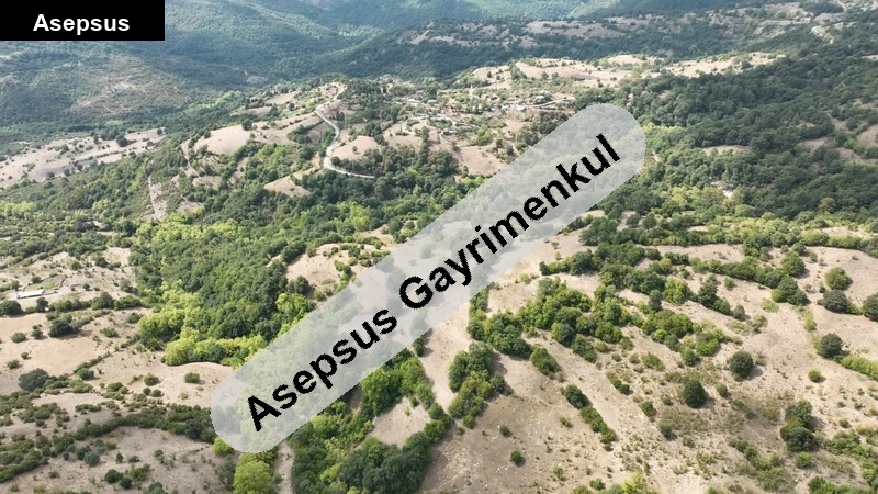 bu fi̇yata köye yakin kupon yer