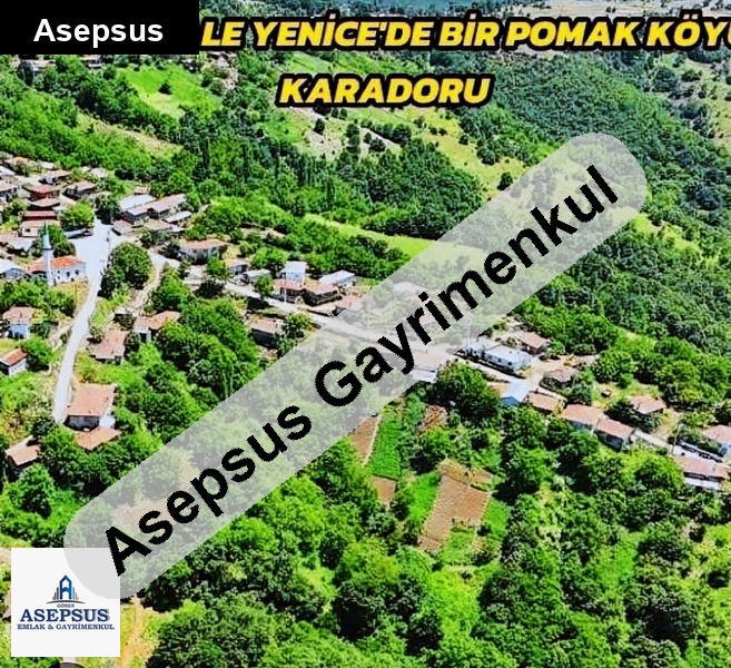 Asepsus Emlak'tan 3+1 karadoru köyü 'sinde satılık arsa