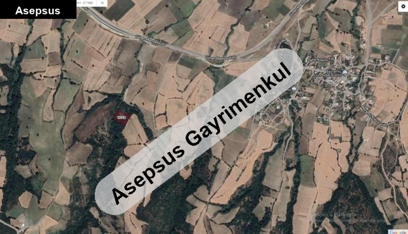 balıkesir gönen bayramiç köyün de 5700 metrekare son gün