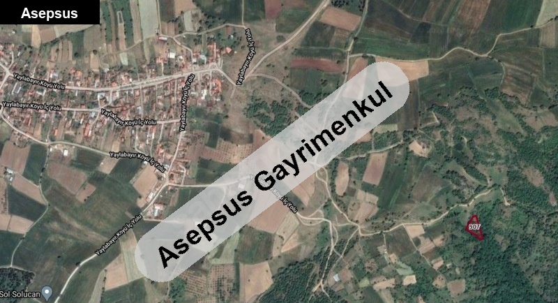 yaylabayır mahallesi' nde satılık bağ