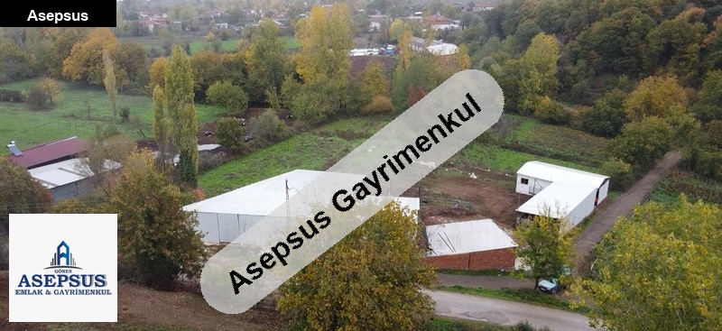 Asepsus Emlak'tan 3+1 çınarcık köyü 'sinde satılık arsa