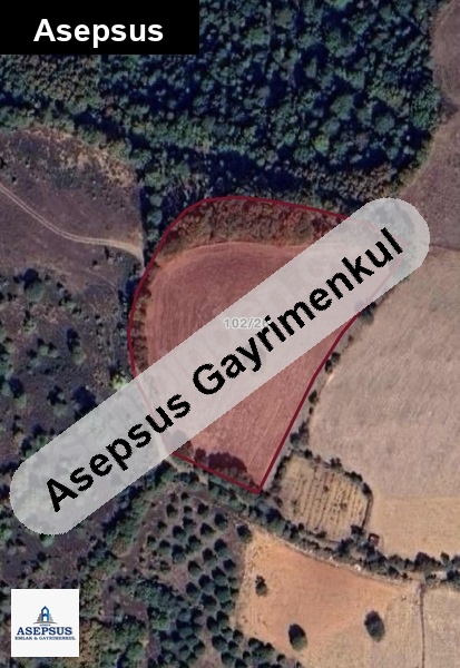 Asepsus Emlak'tan 3+1 darıalan köyü 'sinde satılık arsa