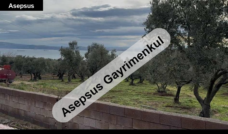 deniz manzaralı fırsat zeytinlik