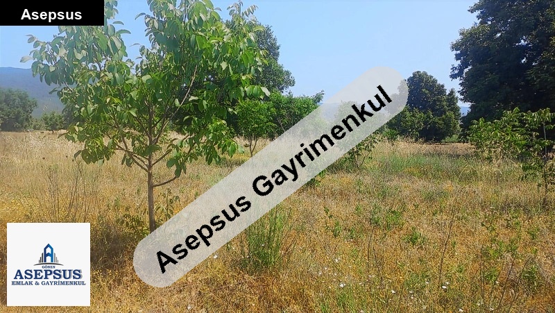 Asepsus Emlak'tan 3+1 akçakoyun köyü 'sinde satılık arsa