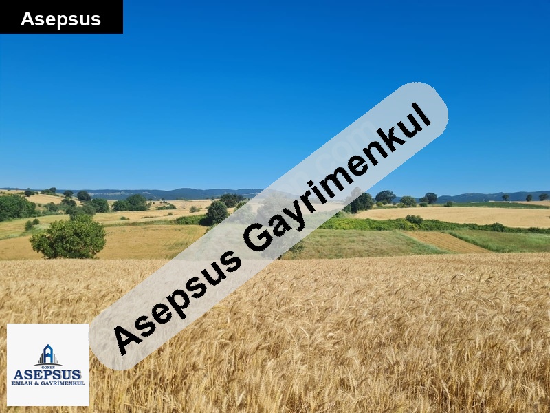 Asepsus Emlak'tan 3+1 hacıpehlivan köyü 'sinde satılık arsa