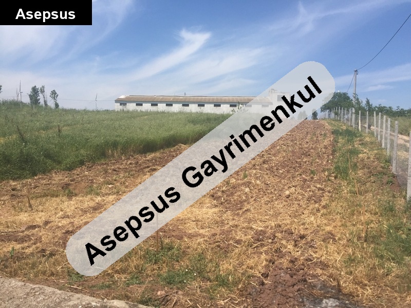 sahi̇bi̇nden çi̇ftli̇k