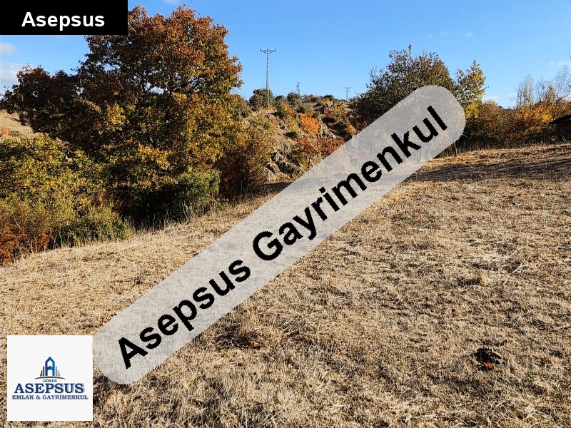 Asepsus Emlak'tan 3+1 suuçtu köyü 'sinde satılık arsa