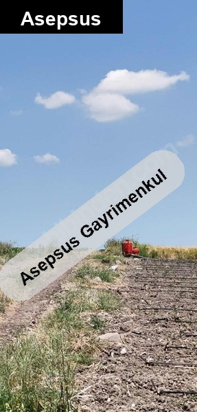 sahi̇bi̇nden satilik aksakal mah. 42.750 m2 yatirimlik tarla