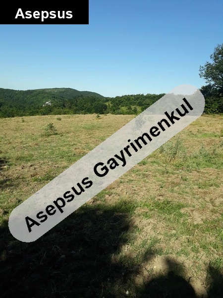 balıkesir gönen kocapınar da 48100m2 tapulu arsa