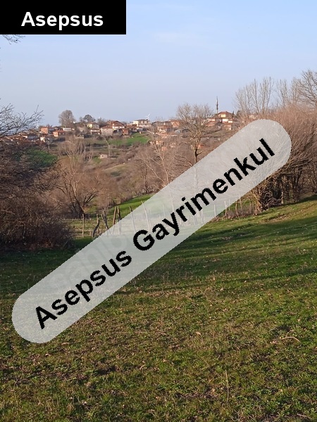 gönende doğaya komşu,hobi bahçesine uygun 2.300 m² tarla