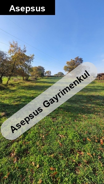 gönen turplu'da köye yakın yola cephe müstakil tapu tarla