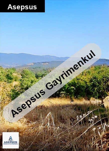 Asepsus Emlak'tan 3+1 karadoru köyü 'sinde satılık arsa